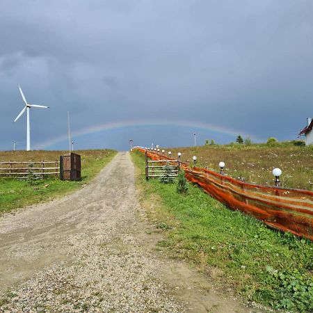 Pensiunea Zana Muntilor Piatra Fantanele Exteriör bild